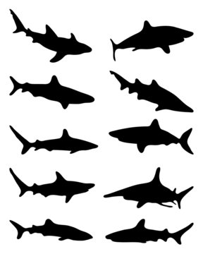 Black silhouettes of sharks, vector illustration