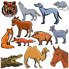 set of different animals