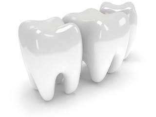 Teeth isolated on white back.