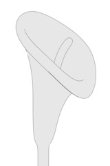 cartoon image of cala lilly