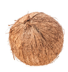 Coconut isolated on white background