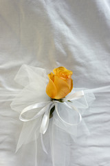 yellow rose with white ribbon for wedding decoration