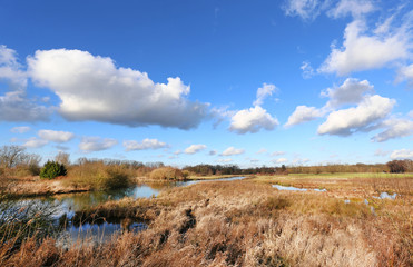 Sumpfland bei Hamm / Westfal