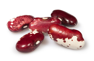 beans red legume group