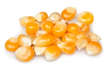 Deurstickers corn dry kernels group © bergamont