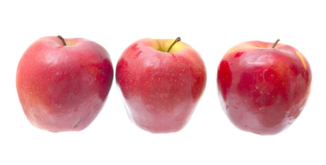 Ripe red apple isolated on the white background.