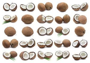 Coconuts