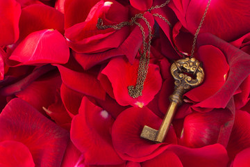 Key with crimson rose petals - Powered by Adobe