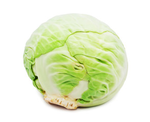 Cabbage