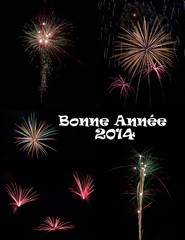 Bonne Année 2014