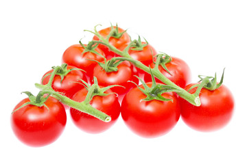 The branch of cherry tomatoes
