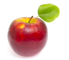 Ripe red apple isolated on the white background.