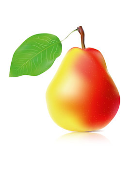 Ripe pear with leaf