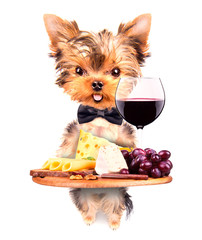 dog holding service tray with food and drink