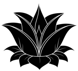 Lotus Silhouette