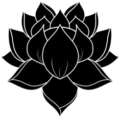 Lotus Silhouette
