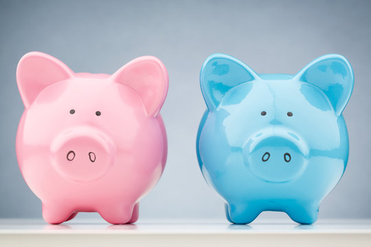 Pink and Blue Piggy Bank Together