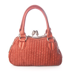 woman's handbag on a background