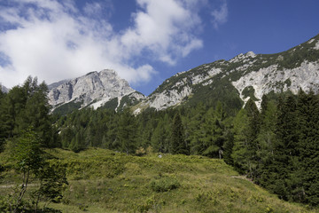 Fototapeta premium Landscape of the beautiful Julian Alps in Slovenia