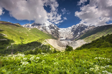 Alpine meadows at the foot of Tetnuldi glacier