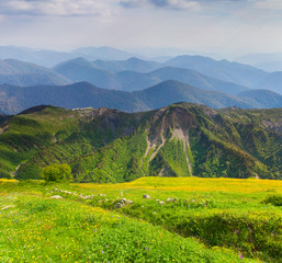 Beautiful summer landscape in the Caucasus mountains.