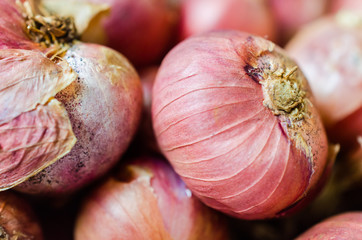 Shallots