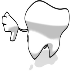 Tooth