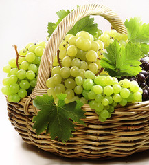 frutta