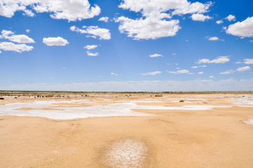 Salt desert near lake Eyre South (Australia)