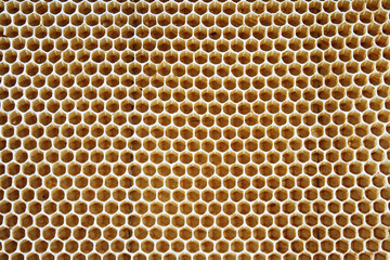 Honey cells