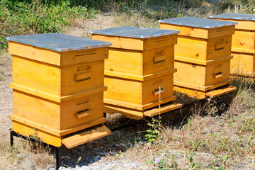 Beehives