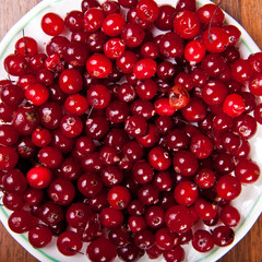 cranberries on a plate closeup