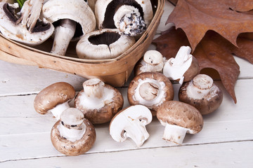 Still life of mushrooms and mushroom autumn season