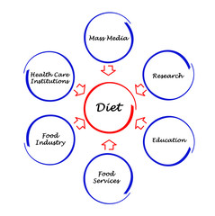 Diet diagram