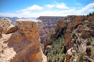 The Grand canyon, Arizona, USA