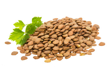 Isolated lentils