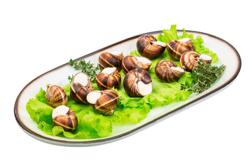 Escargot