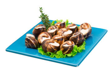 Escargot