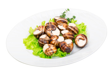 Escargot