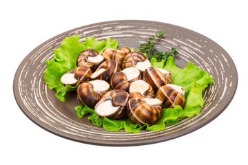 Escargot
