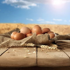 egg