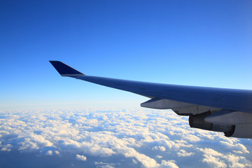 飛行機からの景色