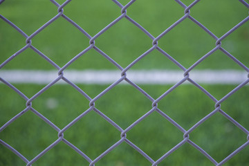 Fototapeta premium net on green grass.