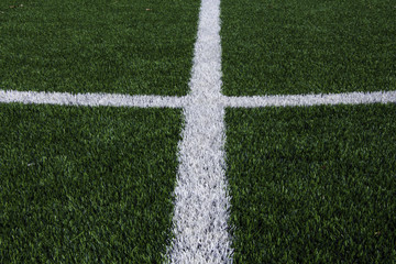 Obraz premium White line on the green grass