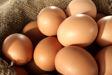 eggs