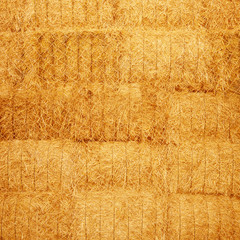 Hay texture