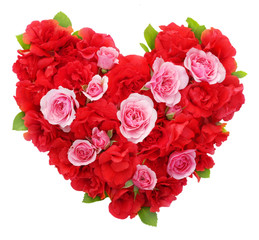 Roses flowers heart shape isolated.