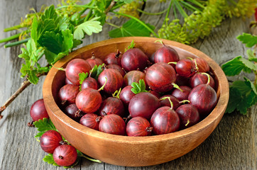 Gooseberries in bowl
