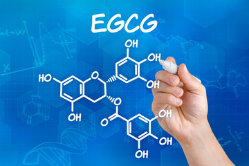 Hand zeichnet chemische Strukturformel von EGCG