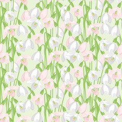 Spring flowers snowdrops natural seamless pattern.